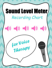 Load image into Gallery viewer, Sound Level Meter Recording Chart
