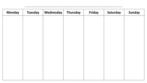 Weekly Therapy and Activity Schedule