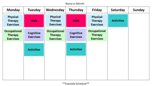 Weekly Therapy and Activity Schedule